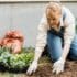 Attention à cette amende salée si vous ne réalisez pas cette action dans votre jardin