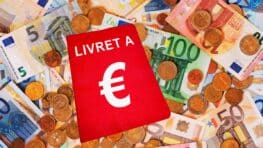 Baisse du taux du Livret A: quels sont les livrets d’épargne à choisir pour gagner plus d'argent ?