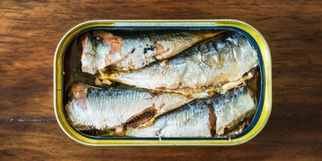 Ce nombre de jour par semaine où vous devez manger des sardines pour préserver votre santé