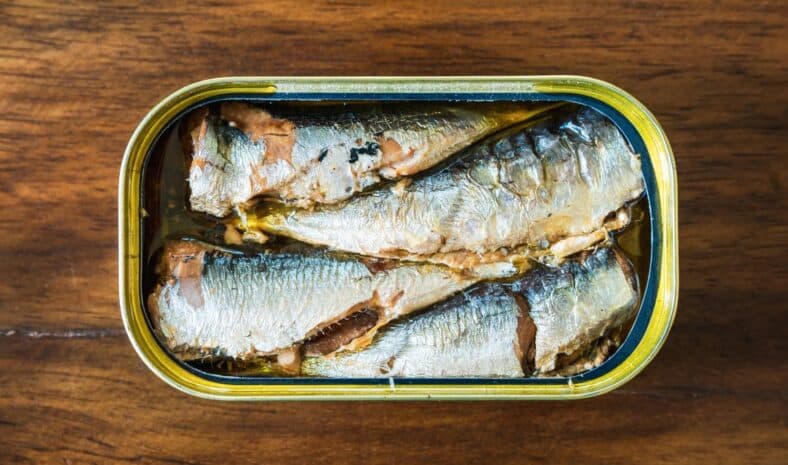 Ce nombre de jour par semaine où vous devez manger des sardines pour préserver votre santé