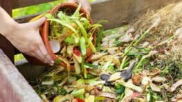 Ces super astuces pour bien entretenir votre compost malgré le froid de l'hiver