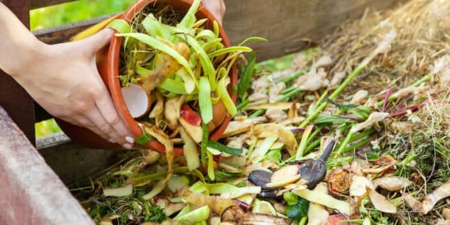 Ces super astuces pour bien entretenir votre compost malgré le froid de l'hiver