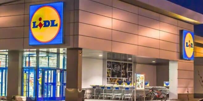 Économisez de l'argent et gagnez en confort avec ce nouveau produit Lidl