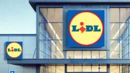 Fini d'avoir froid aux jambes cet hiver avec les leggings thermiques LIDL à 14,99 euros