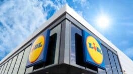 LIDL casse le prix de cette éponge révolutionnaire que tout le monde veut avoir à la maison