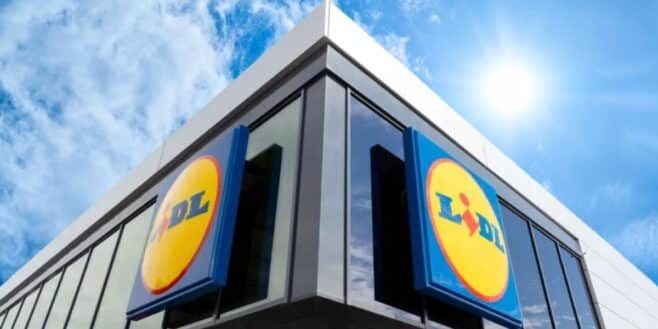 LIDL casse le prix de cette éponge révolutionnaire que tout le monde veut avoir à la maison