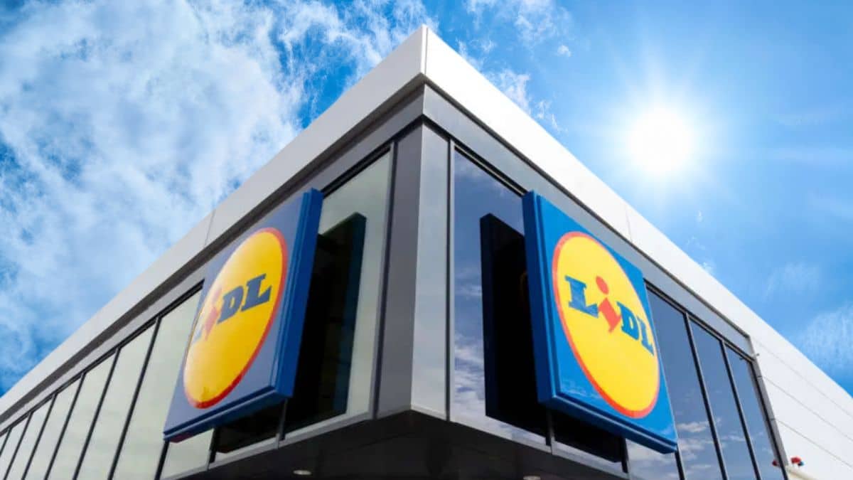 LIDL casse le prix de cette éponge révolutionnaire que tout le monde veut avoir à la maison