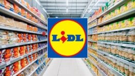 LIDL frappe fort avec 3 vestes canons et hyper chaudes à moins de 15 euros