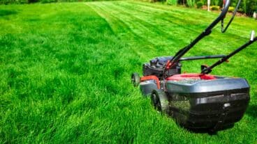 Le meilleur moment pour tondre la pelouse après l’hiver et ne plus l'abimer pour rien