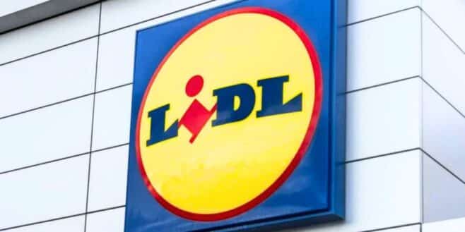 L'invention LIDL pour peindre n'importe quelle surface super rapidement