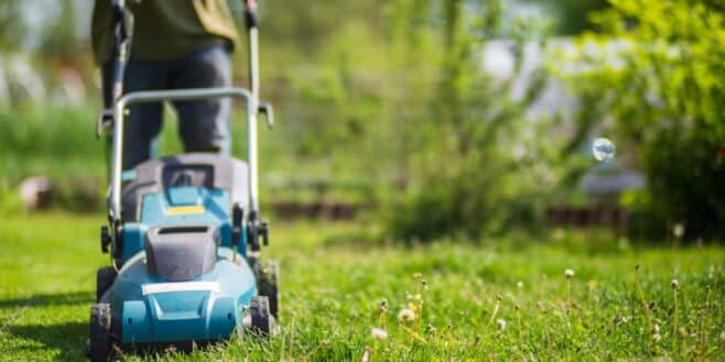 Ce produit LIDL star du jardin fait son retour pour le printemps à prix totalement fou