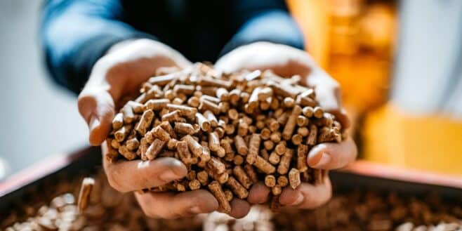 Chauffage au bois: cette nouvelle méthode pour se chauffer et remplacer les pellets