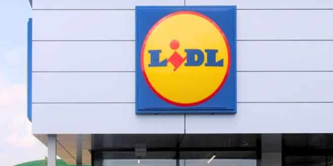 Révolution chez Lidl: cet outil ingénieux rénove sols et murs sans effort